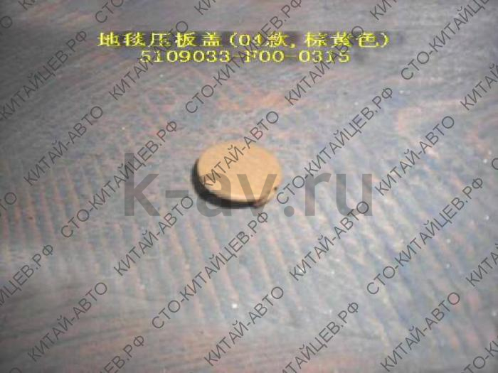 картинка ЗАГЛУШКА НАКЛАДКИ ПОЛА ГРУЗОВОГО ОТСЕКА - SAFE (5109033-F00-0315) от магазина Китай-Авто