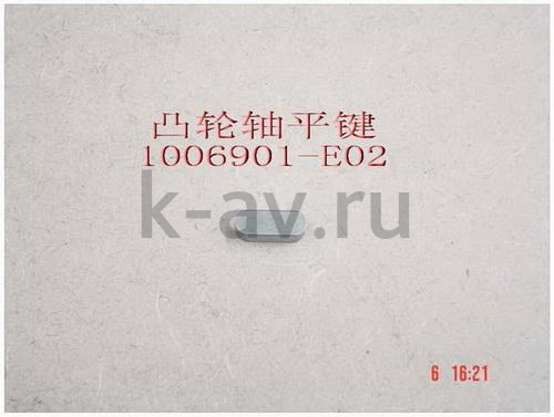 картинка ШПОНКА РАСПРЕДВАЛА - HOVER, WINGLE ДИЗЕЛЬ (1006901-E02) от магазина Китай-Авто
