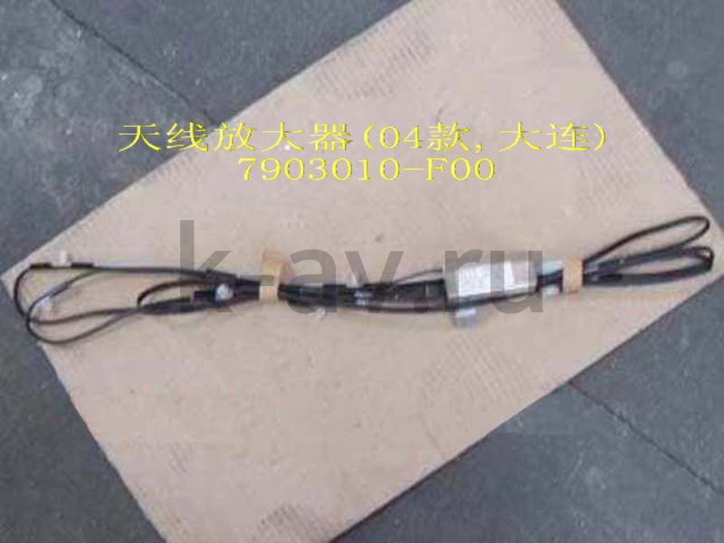 картинка УСИЛИТЕЛЬ АНТЕННЫЙ - SAFE 7903020-F (7903010-F00 7903020-F) от магазина Китай-Авто