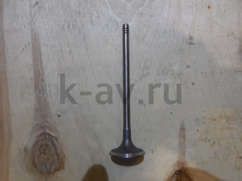 картинка Клапан впускной - Chery Indis, Kimo, QQ6, Riich (473H-1007011BA) от магазина Китай-Авто