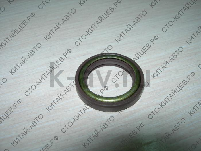 картинка САЛЬНИК ПЕРВИЧНОГО ВАЛА КПП ПЕРЕДНИЙ - BYD F-3 (10237888-00+10025449) от магазина Китай-Авто