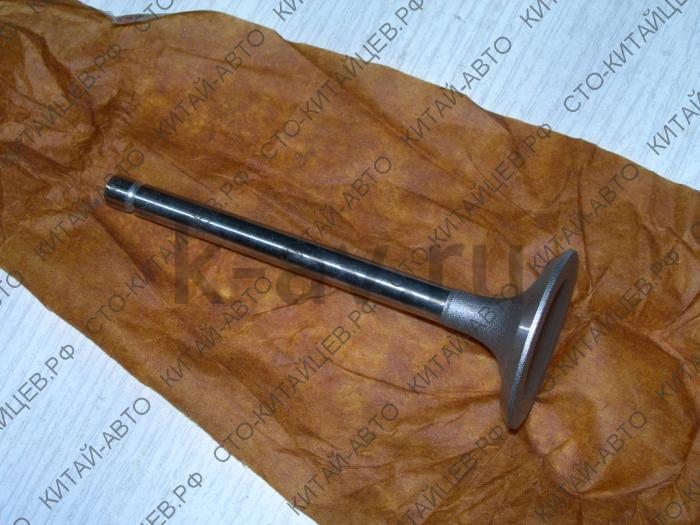 картинка Клапан впускной 491QE - Deer, Safe, Sailor / ZX Admiral (1007016-E00) от магазина Китай-Авто