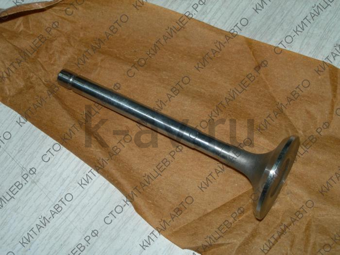 картинка Клапан выпускной 491QE - Deer, Safe, Sailor / ZX Admiral (1007018-E00) от магазина Китай-Авто